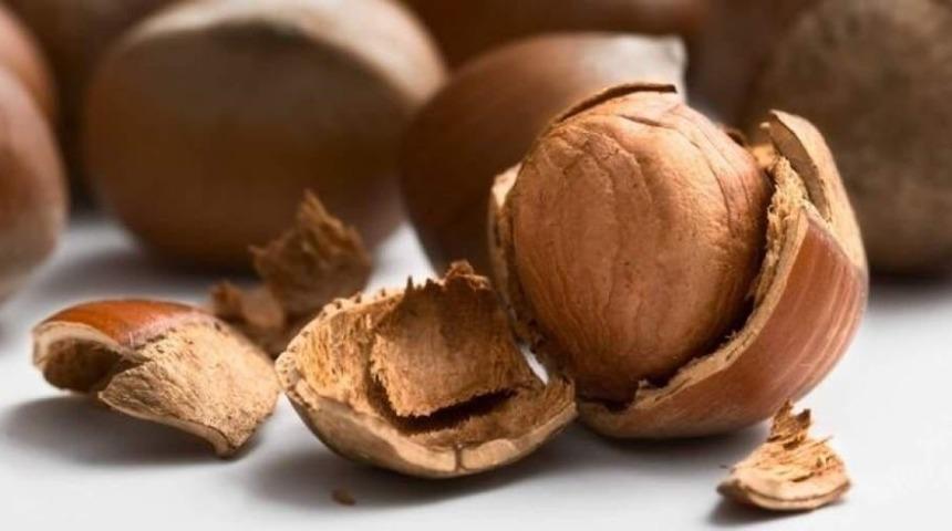Fındık kırma fabrikası icralık oldu! Yarı fiyatına satılacak