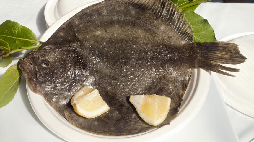 Kalkan balığı nasıl pişirilir, kalkan balığı faydaları nelerdir?