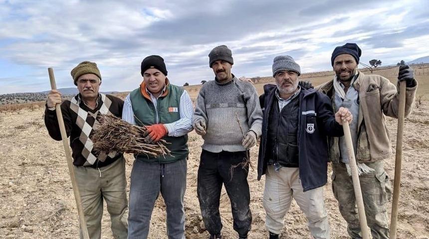 Karaman’da dağ köylerine 50 bin üzüm fidanı dağıtıldı