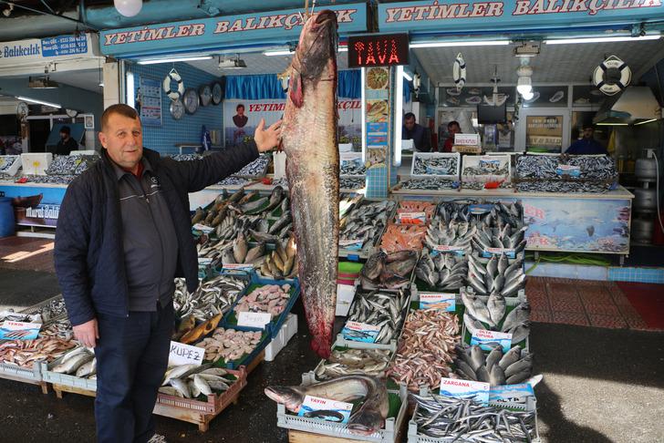 Dev yayın balıkları görenleri şaşırttı G2