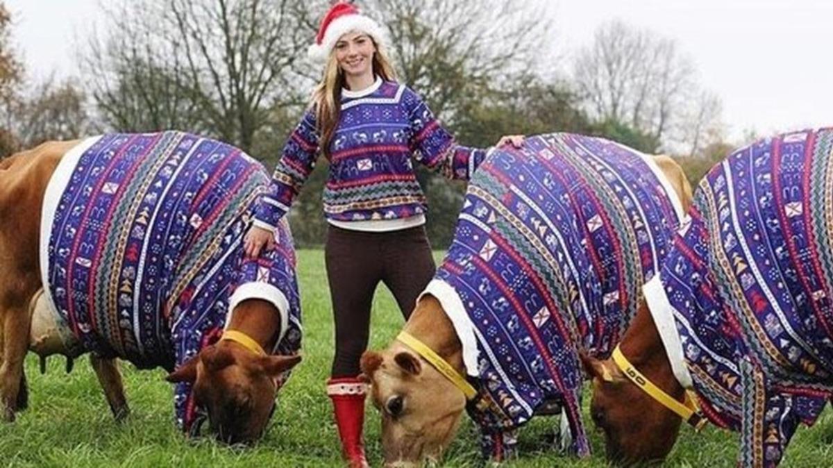 İneklerine &ccedil;ocuğu gibi bakıyor!