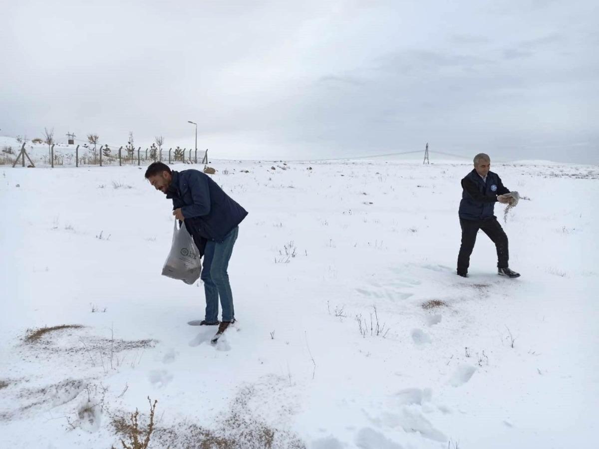 Edremit&rsquo;te sokak ve yaban hayvanları i&ccedil;in doğaya yem bırakıldı