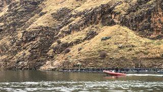 Fırat Nehri'ne devrilen kamyonetin sürücüsünü arama çalışmaları sürüyor
