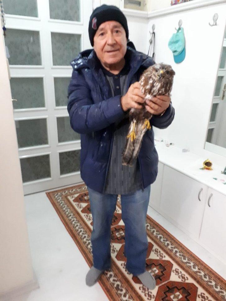 Yaralı haldeki şahin tedaviye alındı G3