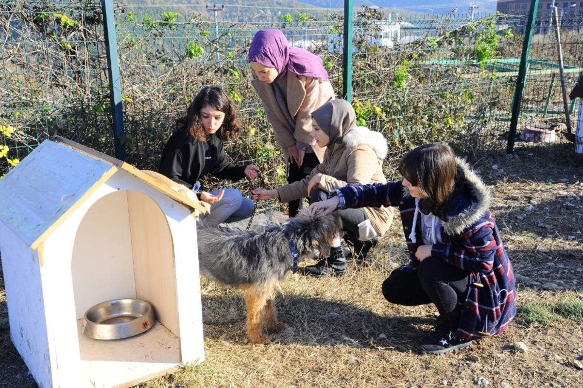 Umuttepe&rsquo;deki sokak hayvanlarına yardım eli