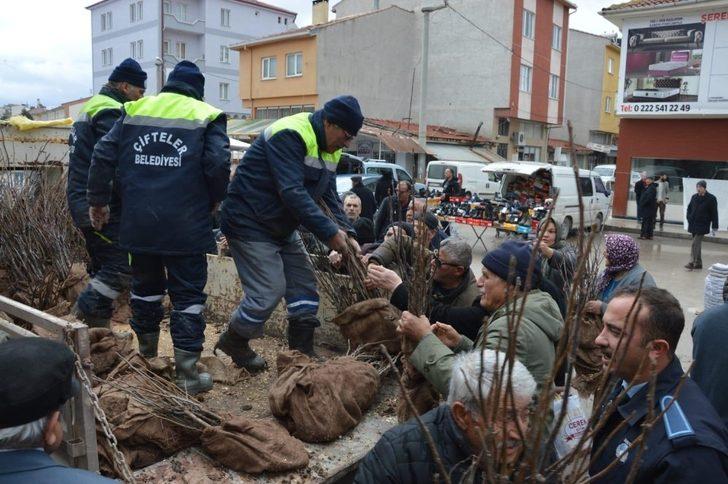 Çifteler’de 20 bin ceviz fidanı dağıtıldı G1