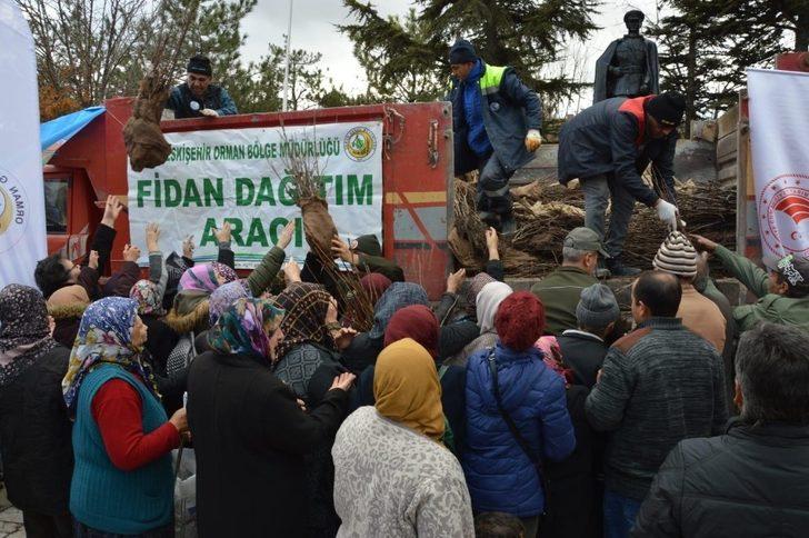 Çifteler’de 20 bin ceviz fidanı dağıtıldı G2