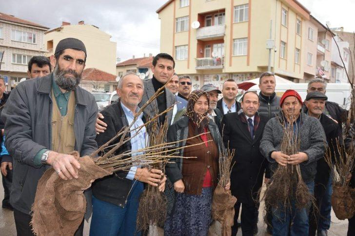 Çifteler’de 20 bin ceviz fidanı dağıtıldı G3