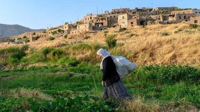 Dargeçit'e bağlı Çavuşlu (Zewik) köyü