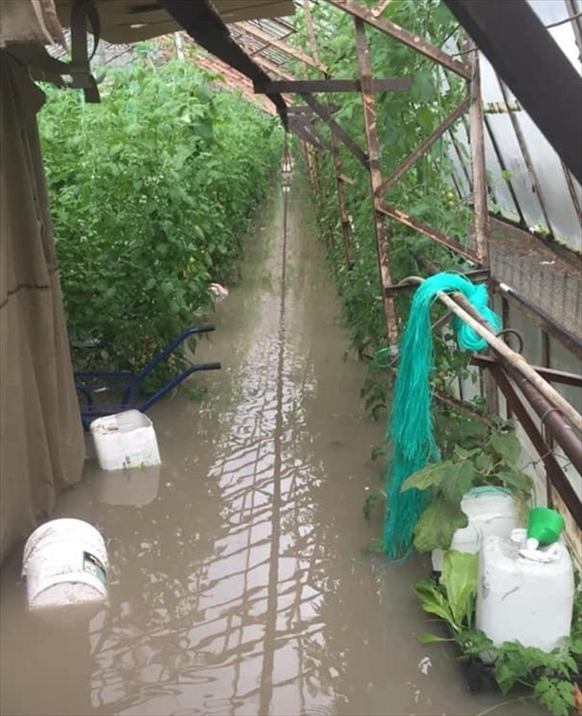 Antalya'daki dolu ve sağanak nedeniyle Kaş il&ccedil;esindeki seralarda su baskını yaşandı