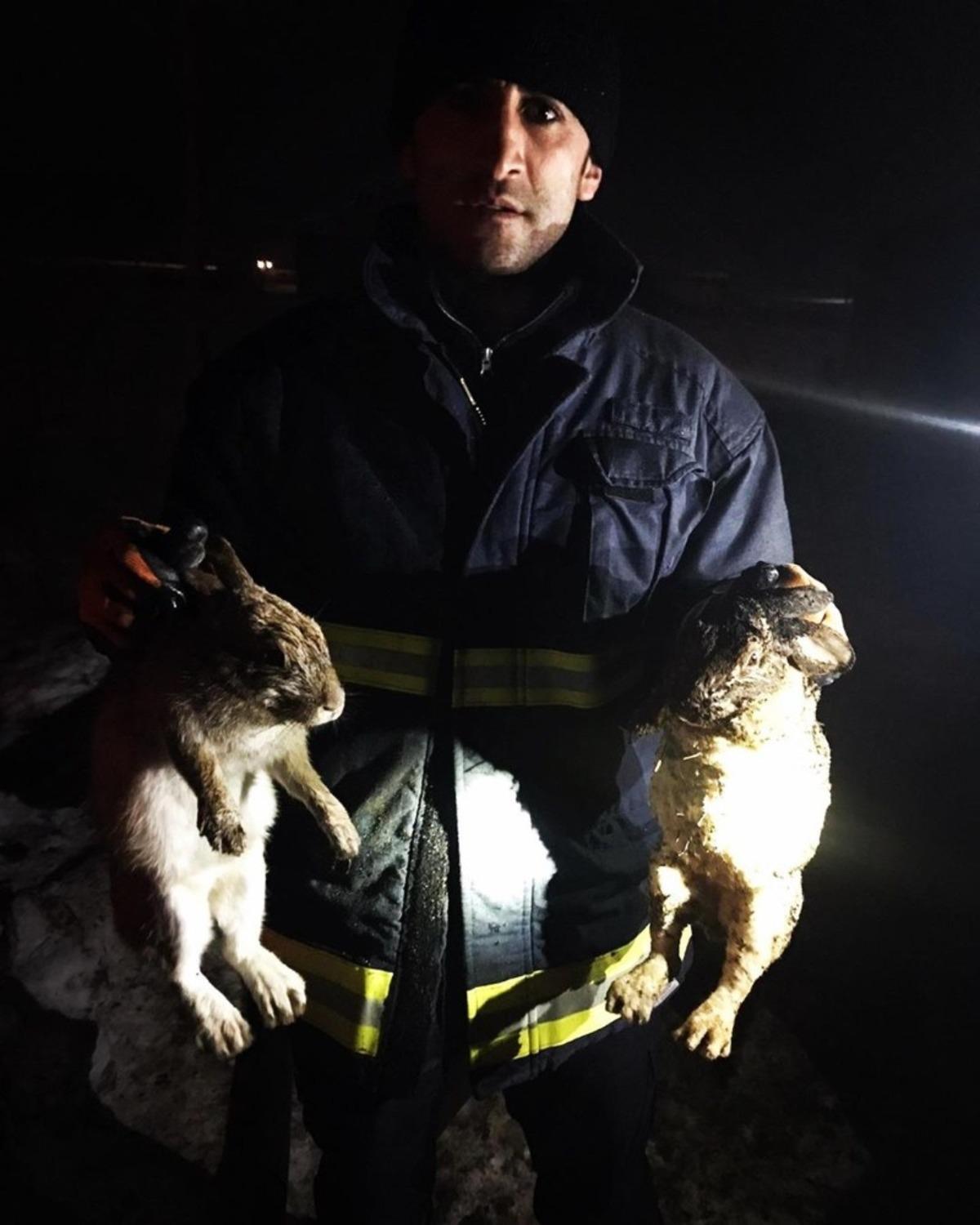 &Ccedil;aldıran&rsquo;da &ccedil;ıkan yangında 25 tavuk, 6 tavşan telef oldu