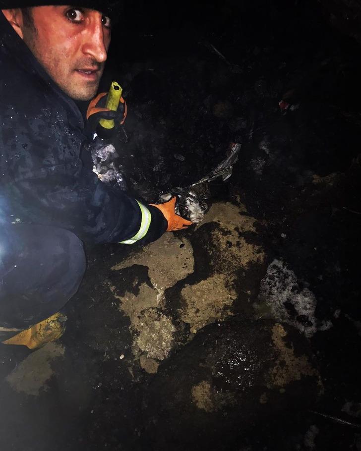 Van'da acı olay... Yangında 25 tavuk, 6 tavşan telef oldu G2