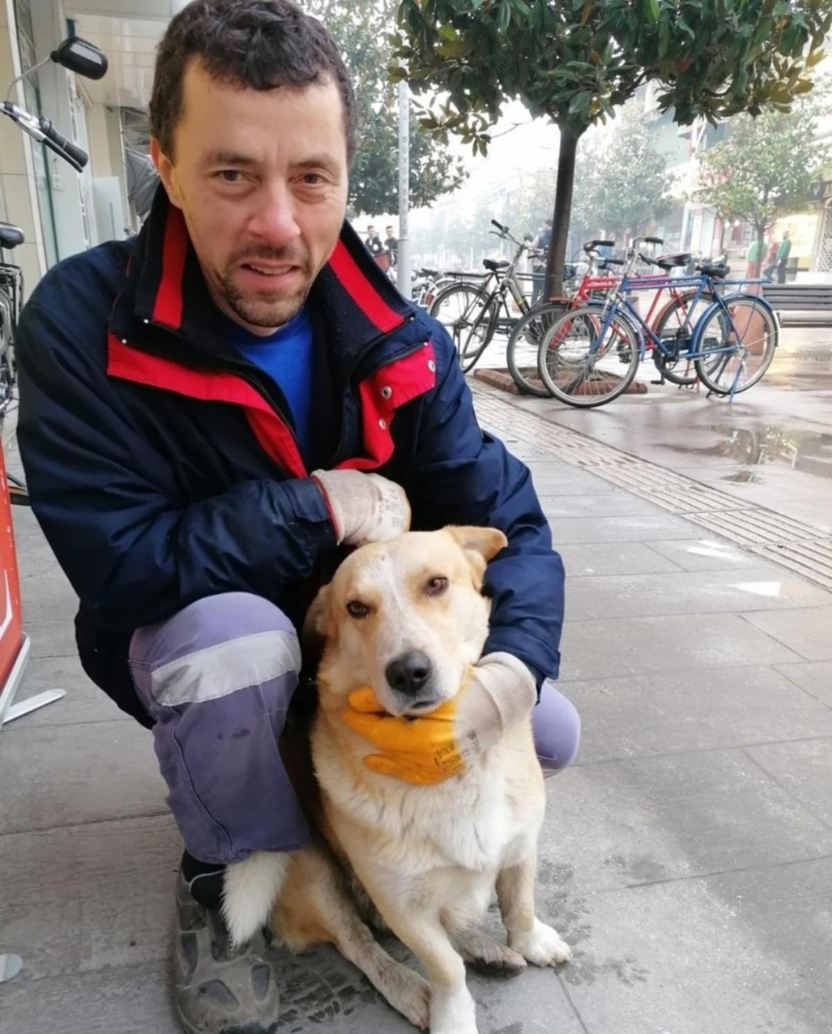 Sokak k&ouml;peğini &ccedil;alı s&uuml;p&uuml;rgesiyle kaşıdı taktir kazandı