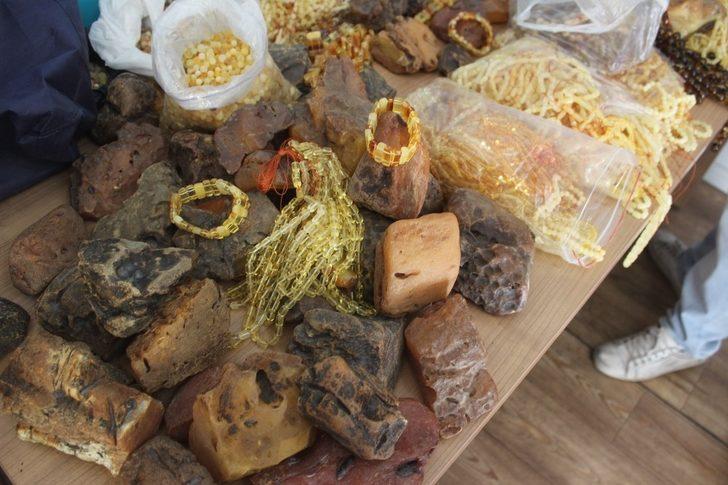 Zonguldak’ta ele geçirildi! Piyasa değeri 500 bin TL G2