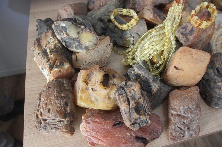 Zonguldak’ta ele geçirildi! Piyasa değeri 500 bin TL G1