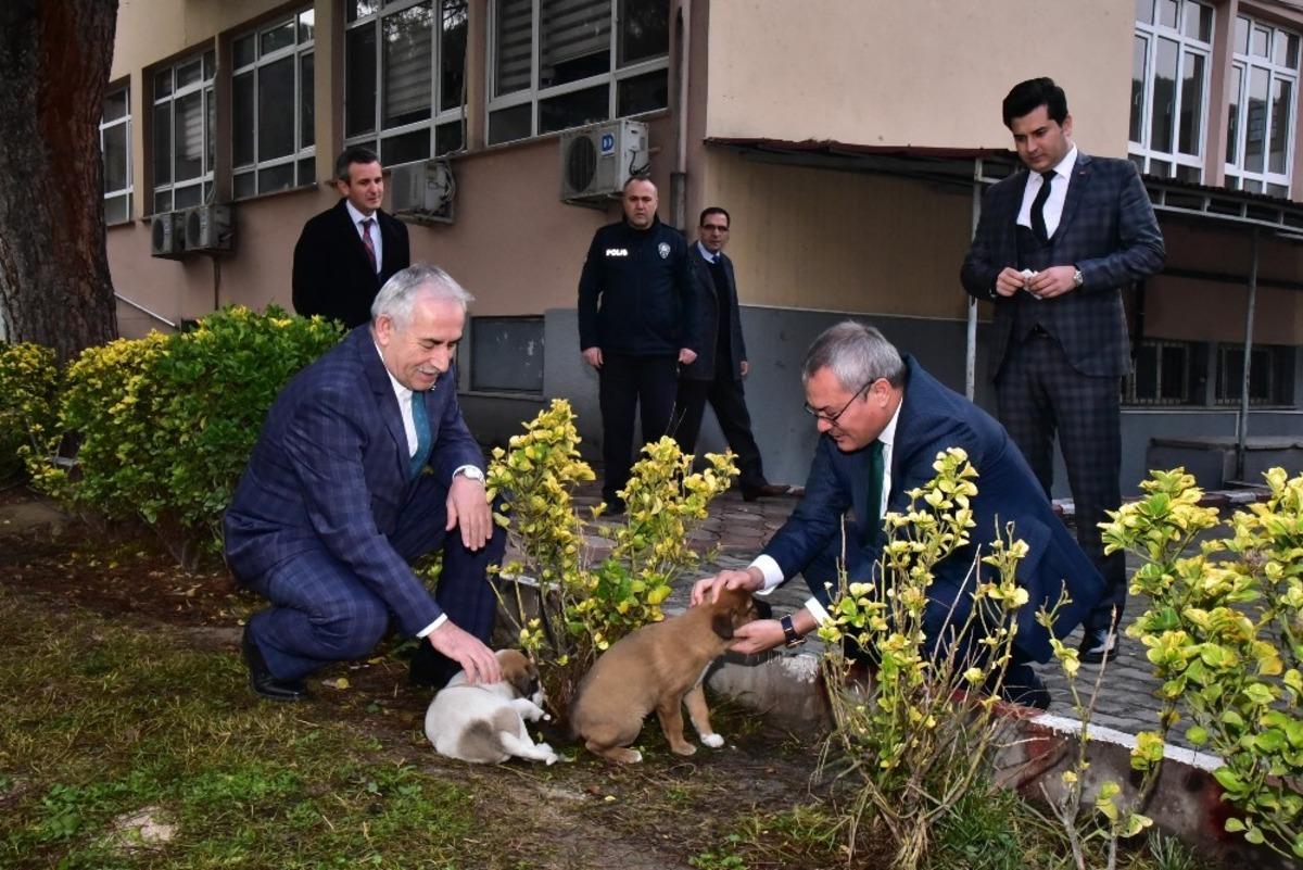 4 yavru k&ouml;peğe Saruhanlı Kaymakamlığı sahip &ccedil;ıktı