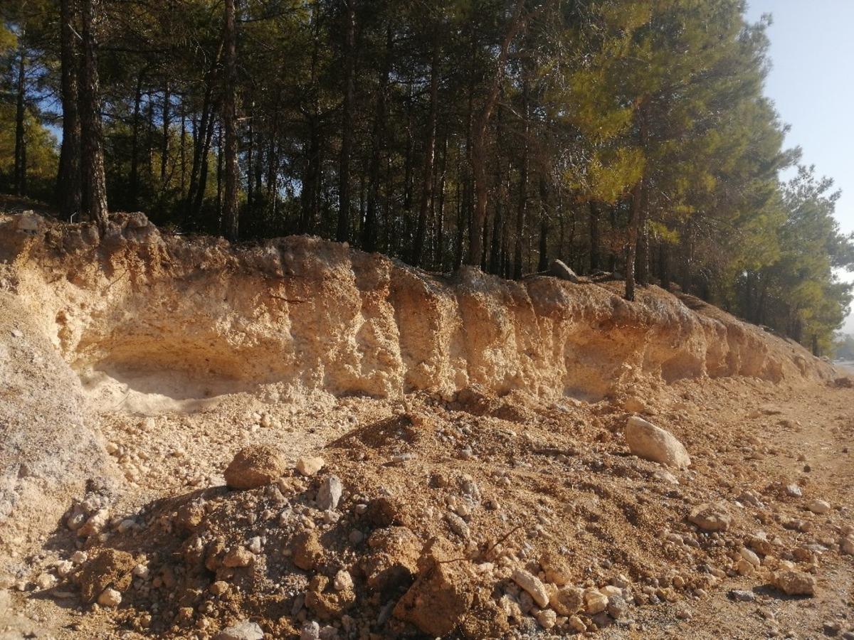Yarım asırlık ağa&ccedil;ların k&ouml;klerini tahrip ettiler