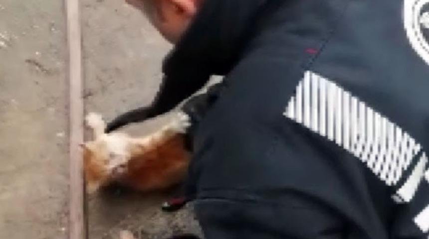 İtfaiye ekiplerinden yavru kedi kurtarma operasyonu