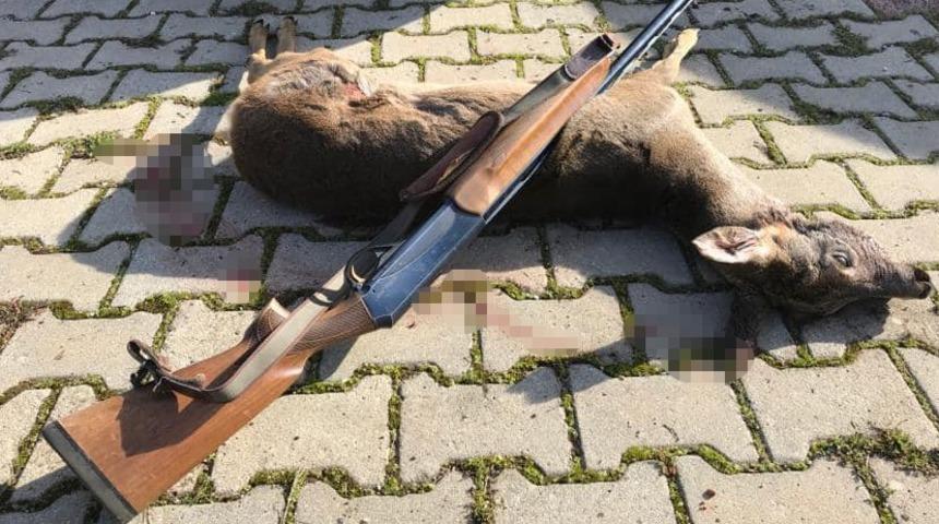 Nesli tükenme tehlikesindeki karacayı vurdu