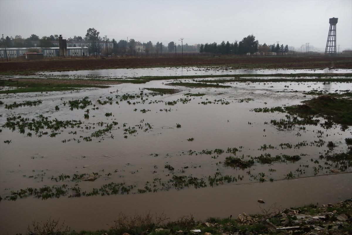 Şanlıurfa'da yağmur ve sis etkili oluyor