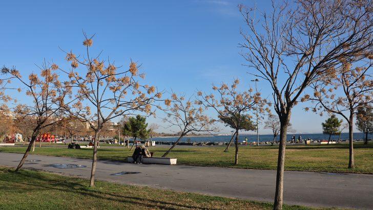 İstanbul'da kış ortasında hava durumu şaşırttı! G4