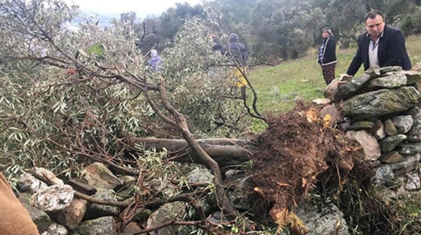 Milas’ta korkutan anlar! Hortum ilçeyi birbirine kattı
