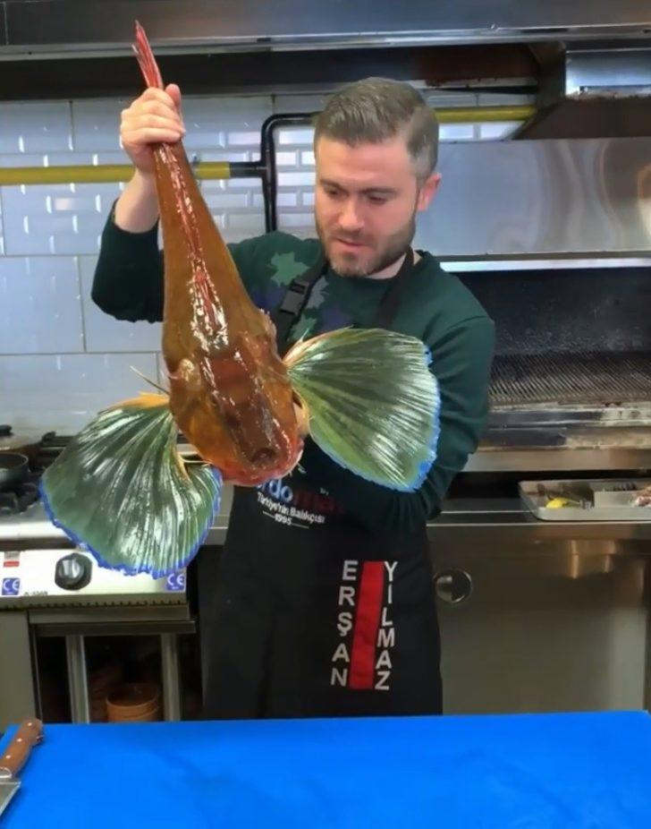 Karadeniz’de kırlangıç ve istavrit alarmı G2