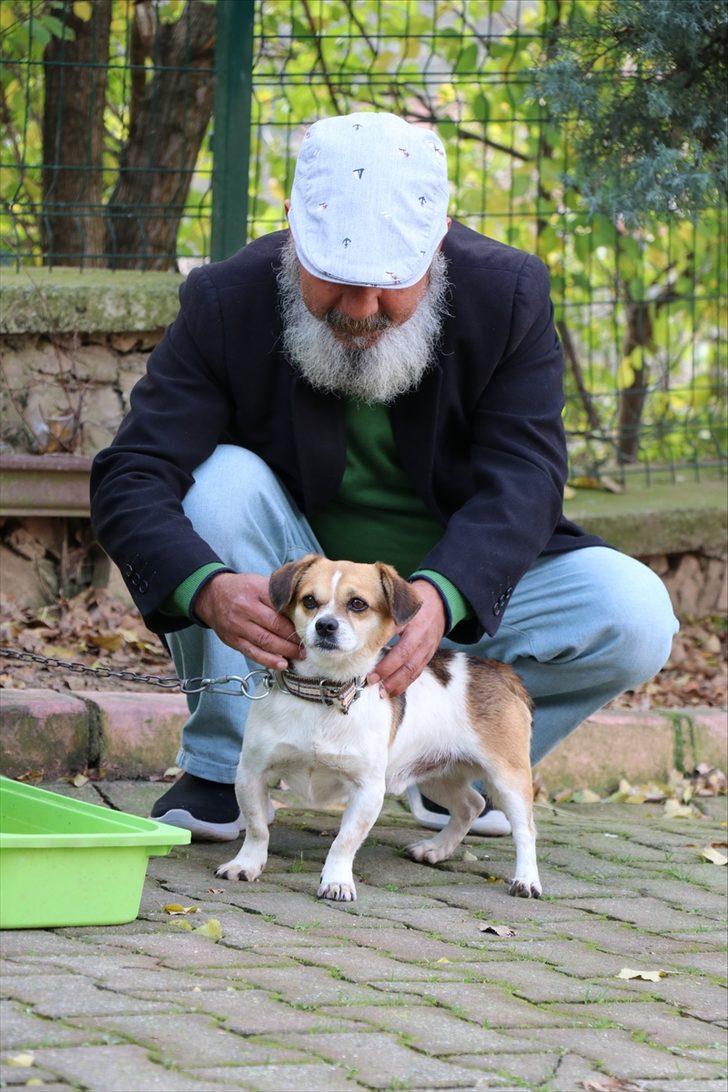 Nefessiz kalan köpeği kalp masajıyla hayata döndürdü G3