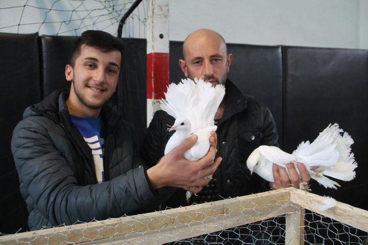 Güvercin Güzellik ve Kostüm Festivali G1