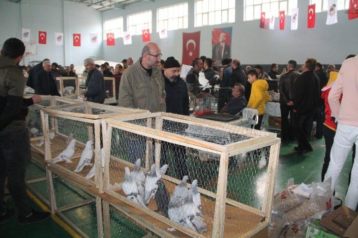 Güvercin Güzellik ve Kostüm Festivali G4