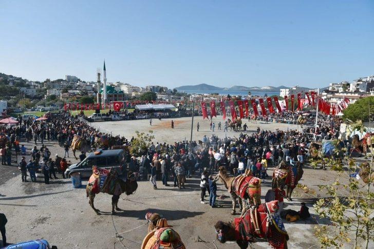 Güllük 6. Geleneksel Deve Güreşleri gerçekleştirildi G3