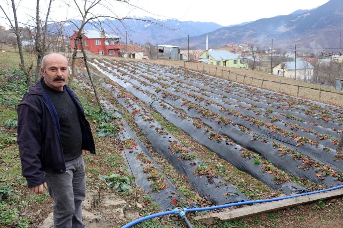 Bu k&ouml;yde &ccedil;ilek ge&ccedil;im kaynağı oldu