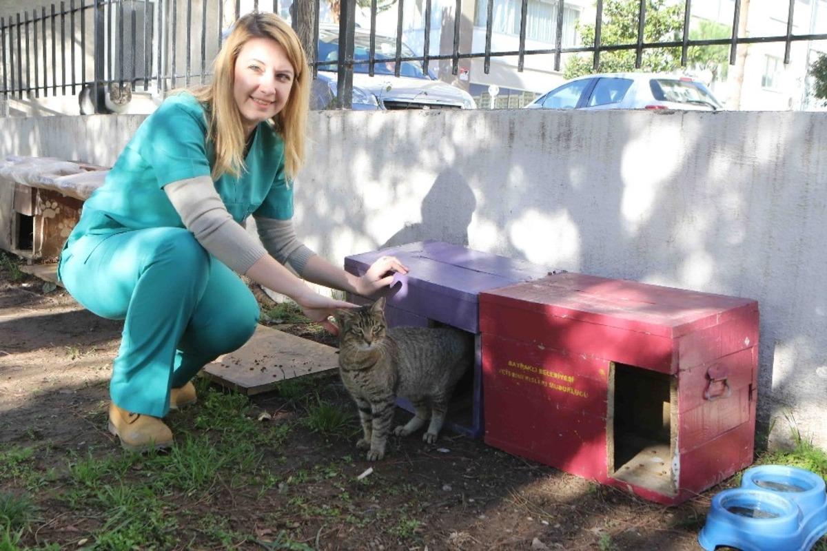 Sokak hayvanları Bayraklı&rsquo;da g&uuml;vende