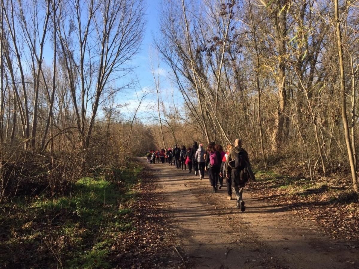 Doğa tutkunlarından sınır &ouml;tesi y&uuml;r&uuml;y&uuml;ş