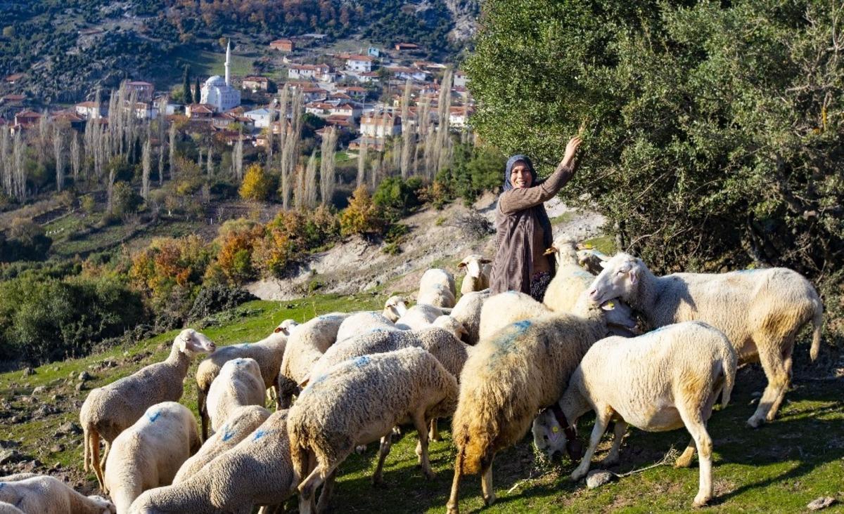 Orman k&ouml;yl&uuml;s&uuml;ne b&uuml;y&uuml;k destek