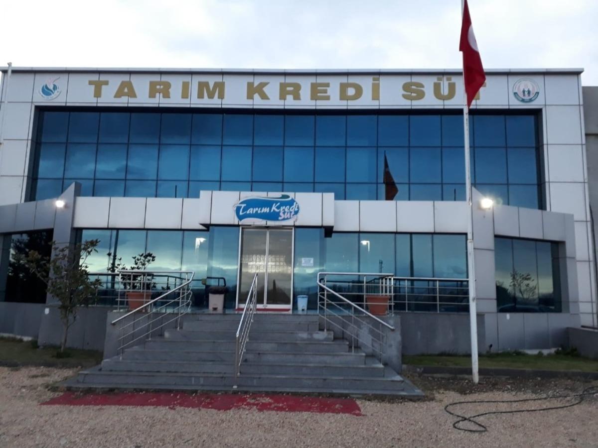 Koyun ve ke&ccedil;i s&uuml;t&uuml;ne rekor fiyat