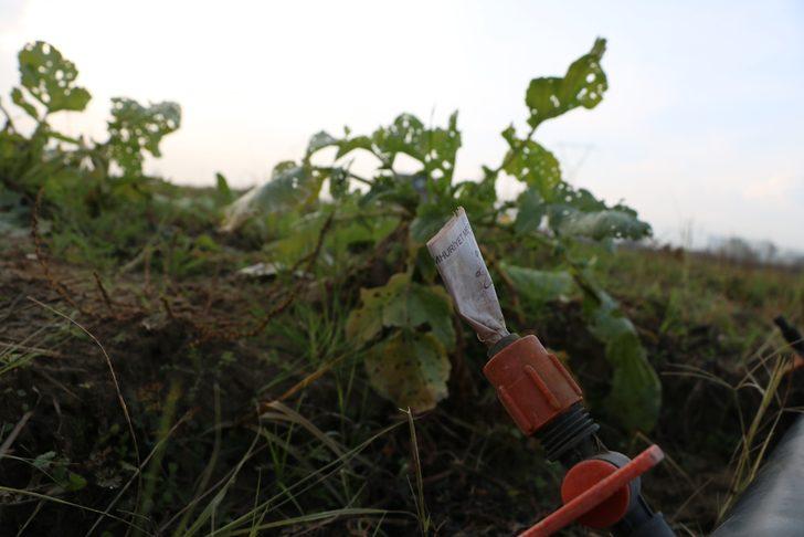 Tarlasında buldu, ne yapacağını bilemedi: Böyle şeyler insanı duygulandırıyor G3