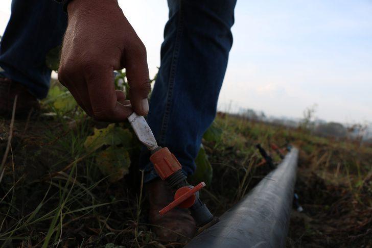 Tarlasında buldu, ne yapacağını bilemedi: Böyle şeyler insanı duygulandırıyor G2