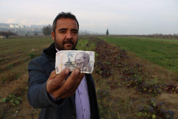 Tarlasında buldu, ne yapacağını bilemedi: Böyle şeyler insanı duygulandırıyor G4