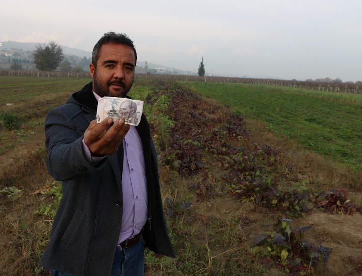 Tarlasında buldu, ne yapacağını bilemedi: Böyle şeyler insanı duygulandırıyor G5