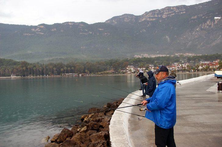 Balon balığı tehlikesi: Kedi bile yemiyor G1