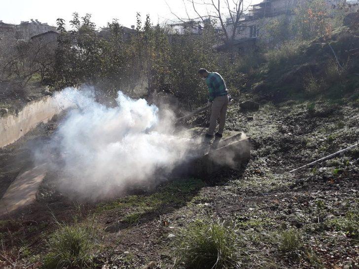 Hatay’da haşereyle mücadele devam ediyor G1