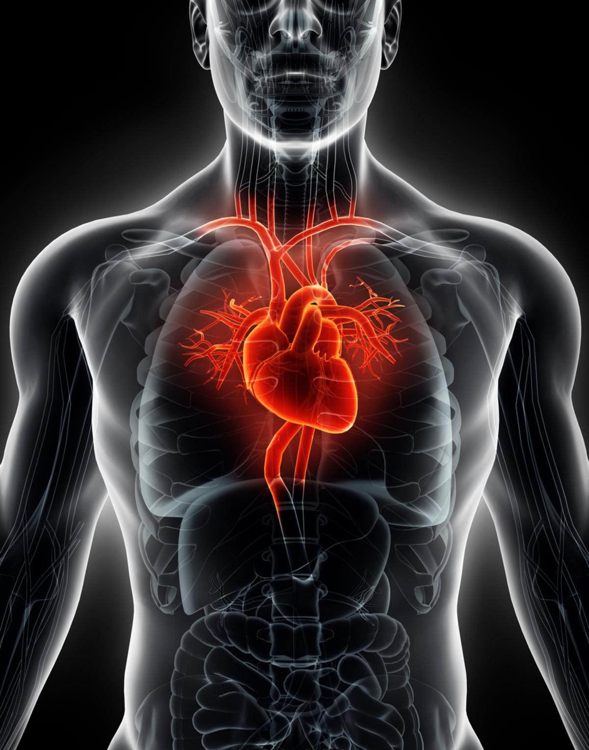 "Hava kirliliği kalbi sigara kadar tehdit ediyor"