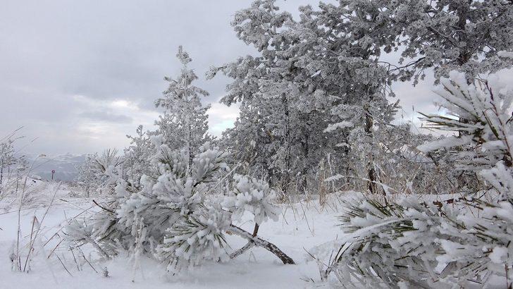 Ardahan beyaz örtüyle kaplandı! G5