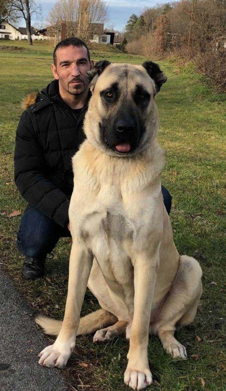 Fırat Arslan, dünya şampiyonluğu ve rekor maçı öncesi konuştu G4