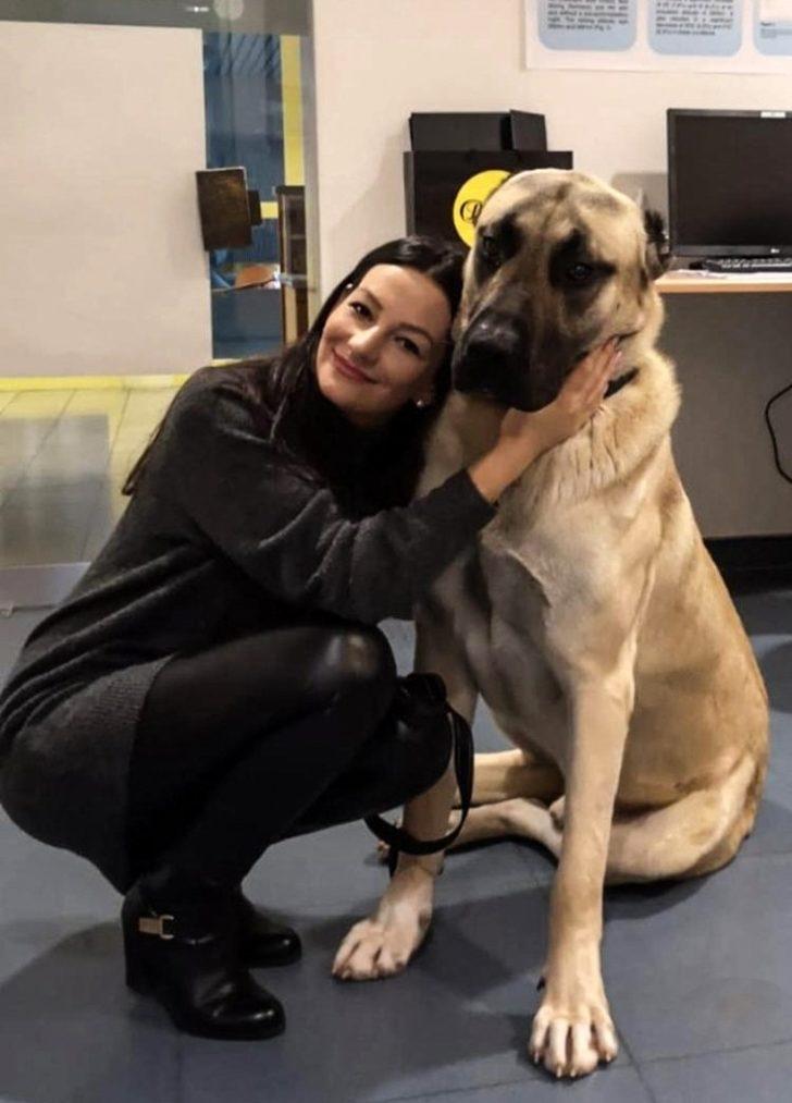 Fırat Arslan, dünya şampiyonluğu ve rekor maçı öncesi konuştu G5