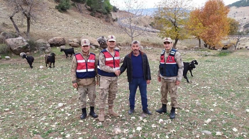 Dolandırıcılar yakalandı