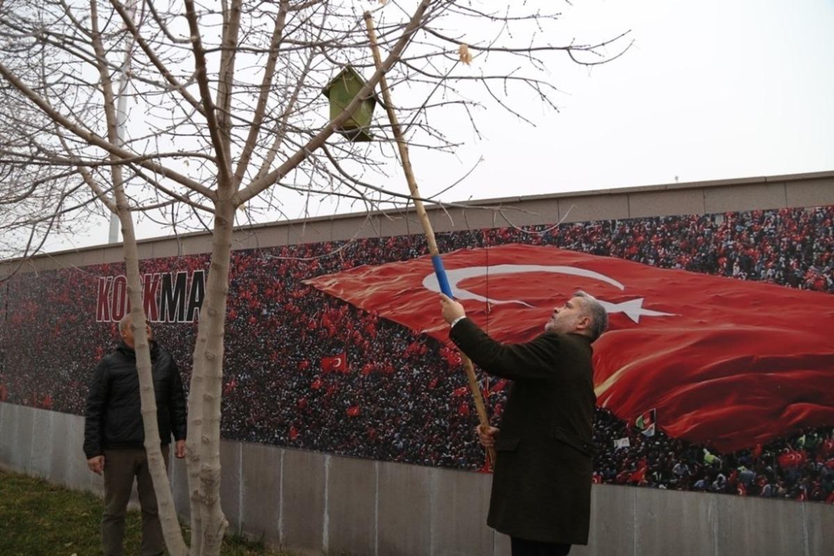 AS&Uuml;&rsquo;de ağa&ccedil;lara kuşlar i&ccedil;in yuva yerleştirildi