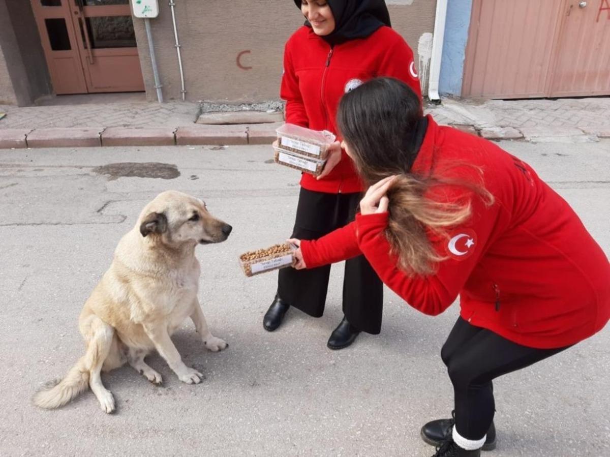AKUT &Ouml;ğrenci Topluluğundan &ouml;rnek &ccedil;alışma
