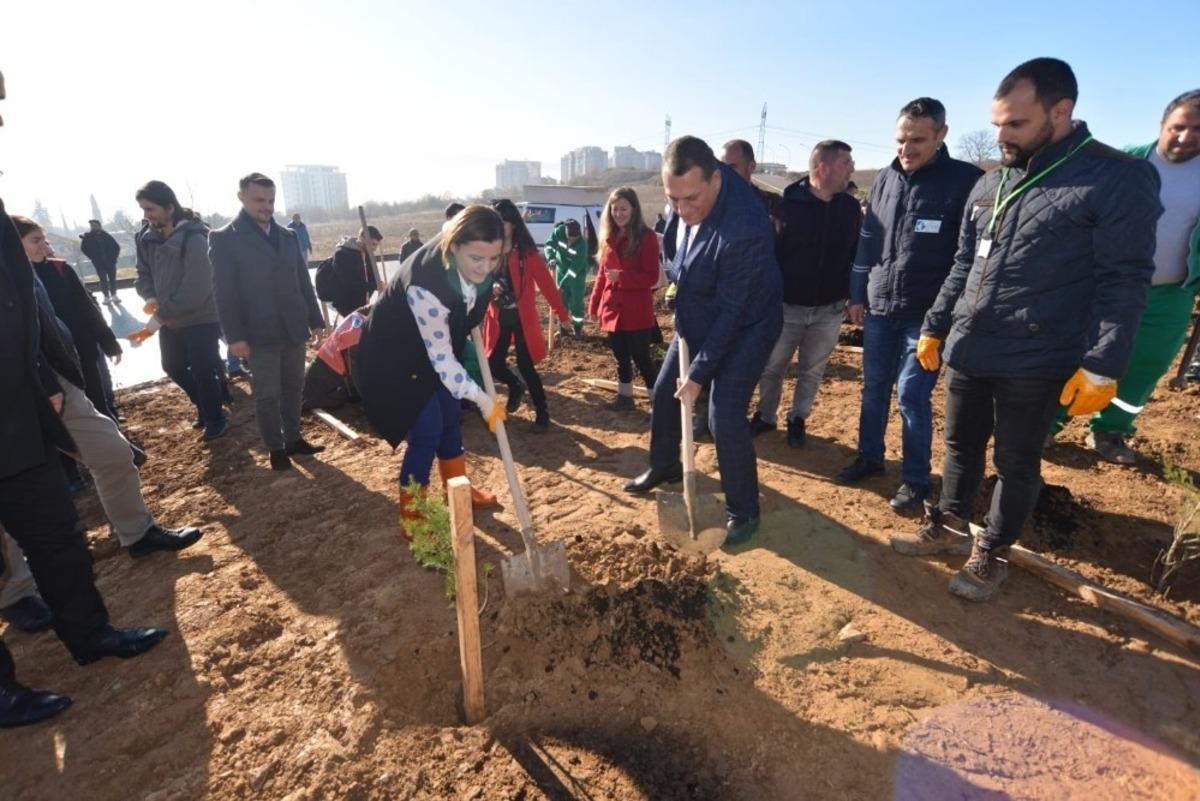 İzmit&rsquo;te 750 adet fidan toprakla buluştu